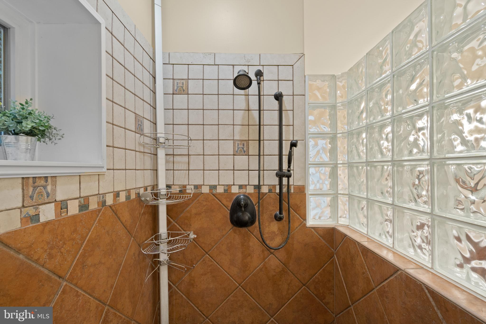 49 Potomac Run Road Fredericksburg, VA 22405 - Photo 12 of 34 Walk-in-shower
