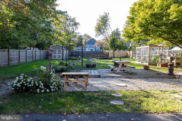 a view of a garden with plants and a bench