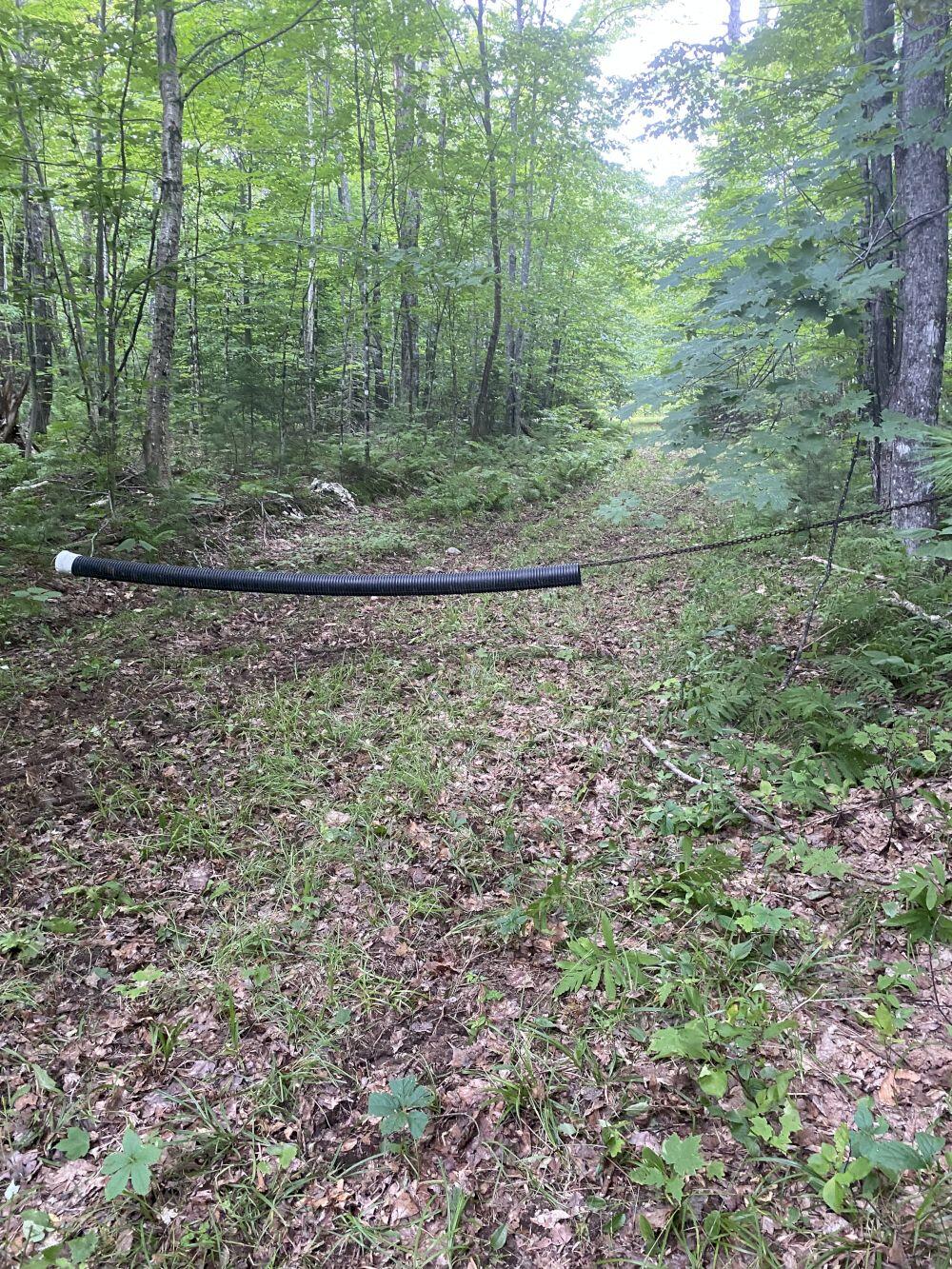 Mso081 L5-1 & 2 Daniel Road New Portland, ME 04961 - Photo 2 of 5 IMG_2036