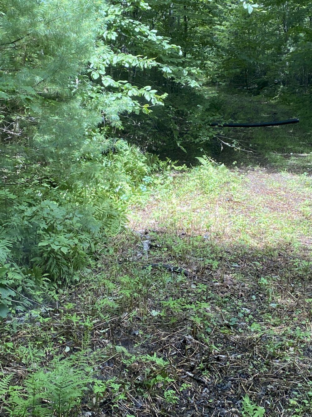 Mso081 L5-1 & 2 Daniel Road New Portland, ME 04961 - Photo 3 of 5 IMG_2187