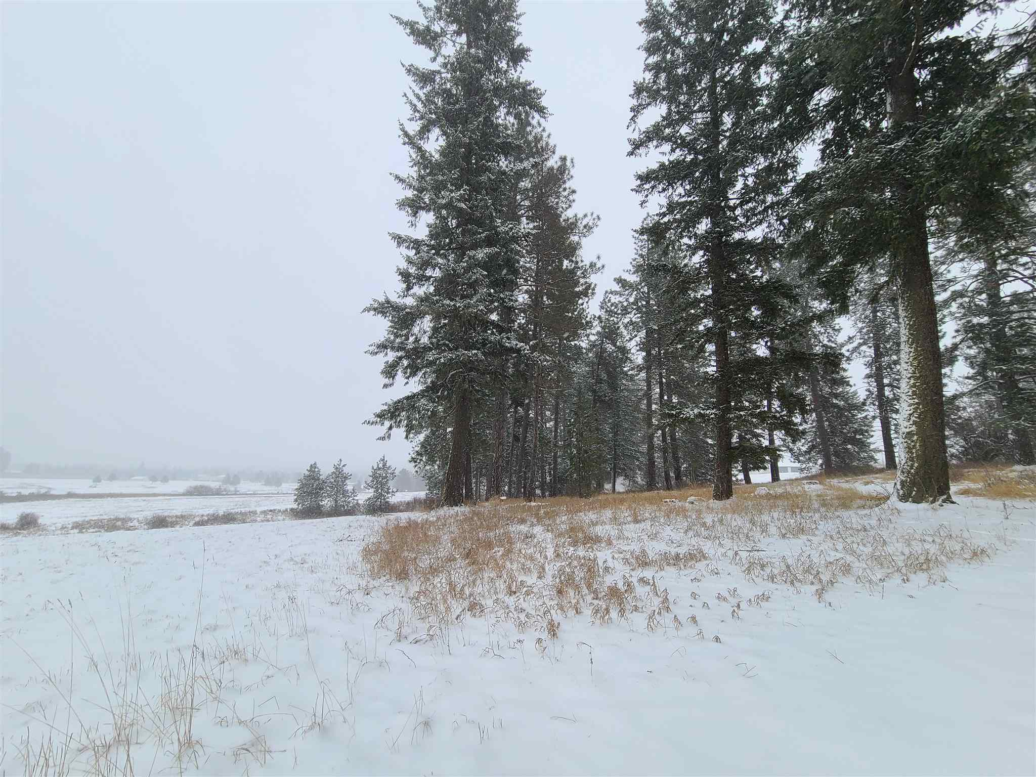 Xx North Elk Chattaroy Road Chattaroy, WA 99003 - Photo 1 of 8 Gallery Image 1