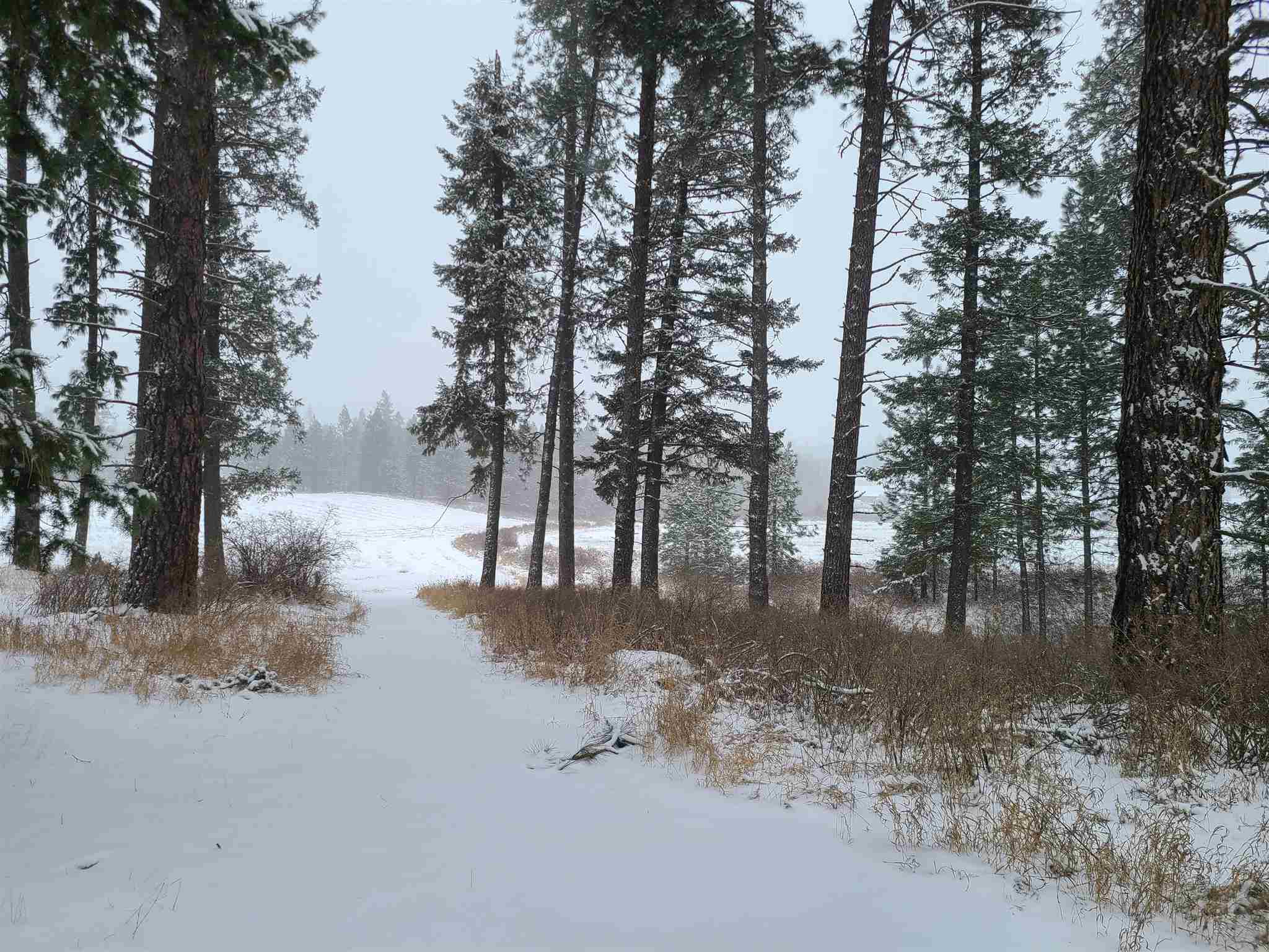 Xx North Elk Chattaroy Road Chattaroy, WA 99003 - Photo 3 of 8 Gallery Image 3