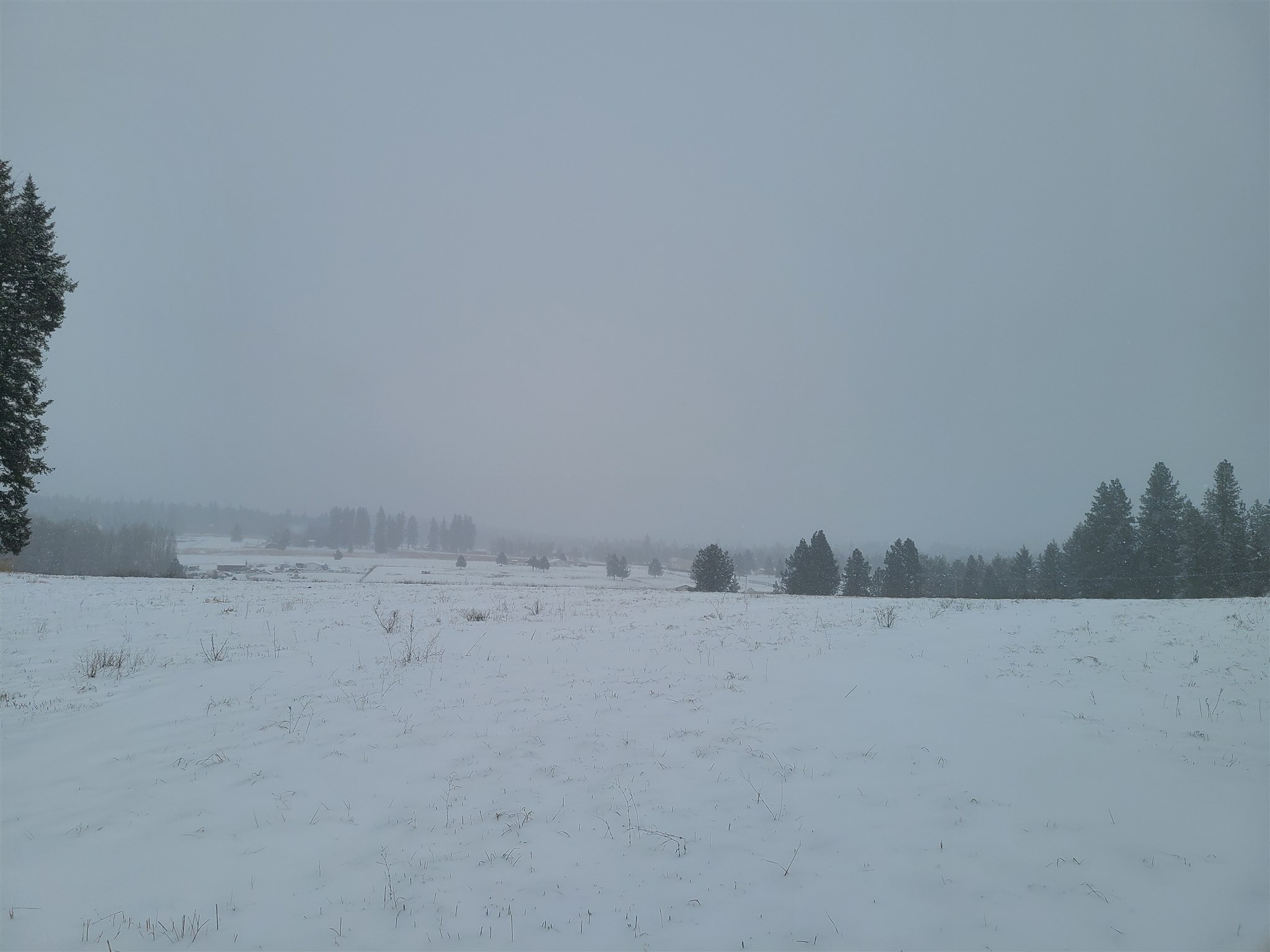 Xx North Elk Chattaroy Road Chattaroy, WA 99003 - Photo 6 of 8 Gallery Image 6