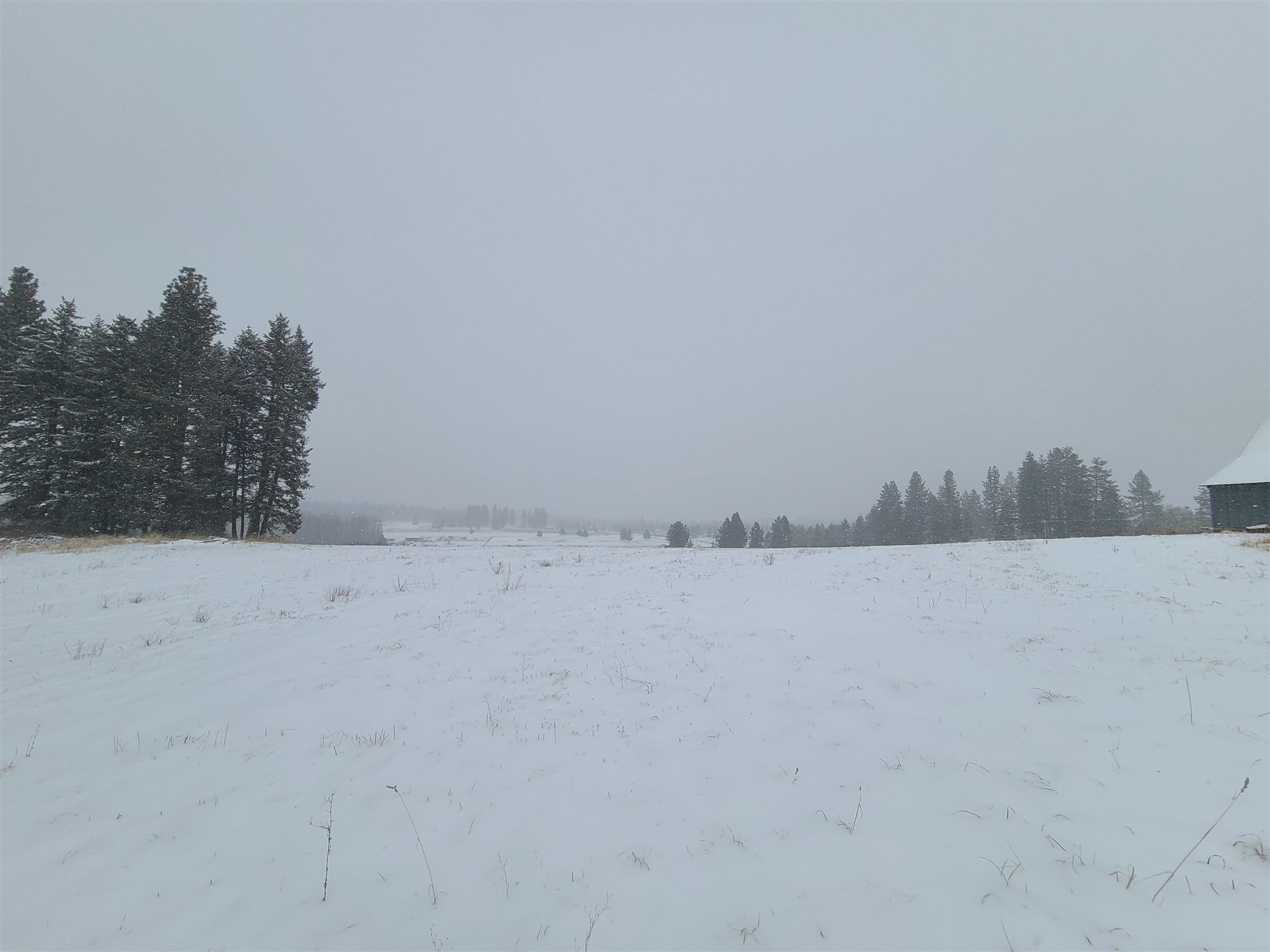 Xx North Elk Chattaroy Road Chattaroy, WA 99003 - Photo 7 of 8 Gallery Image 7