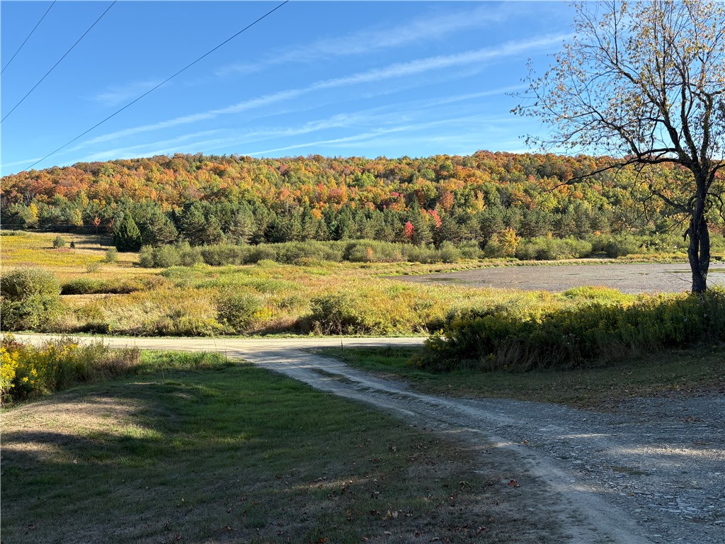 1049 Shea Road Orange, NY 14812 - Photo 31 of 33