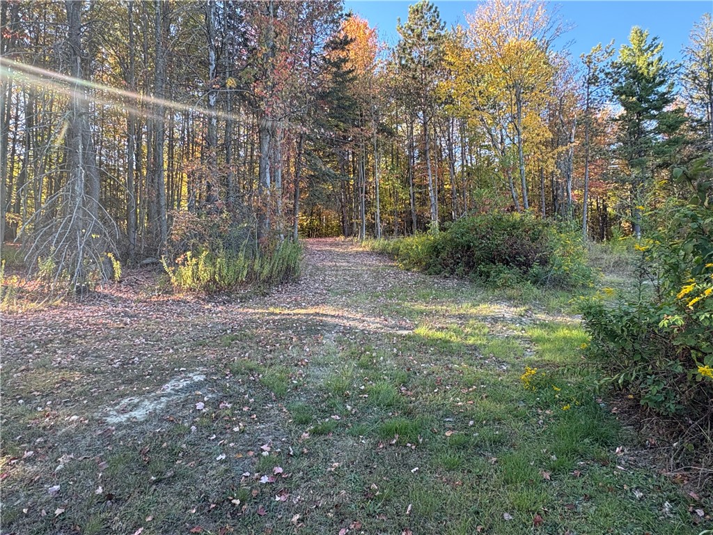 1049 Shea Road Orange, NY 14812 - Photo 32 of 33