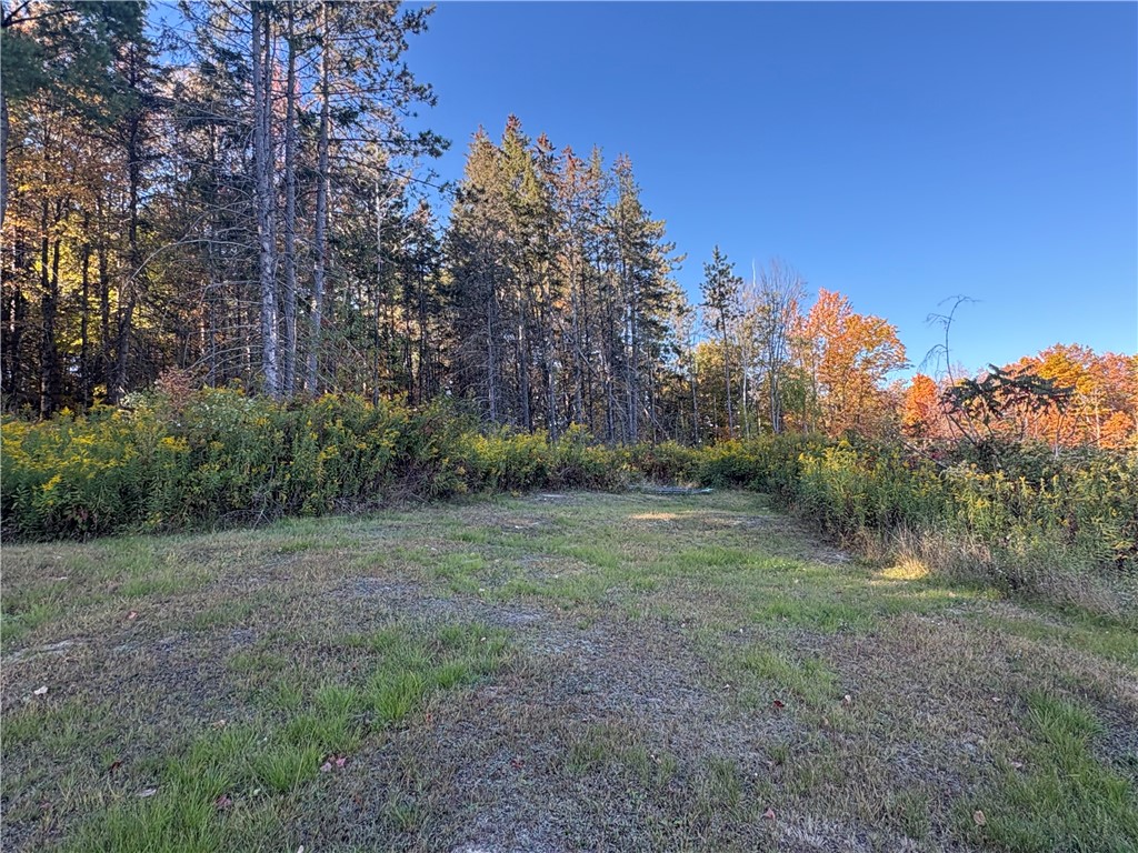 1049 Shea Road Orange, NY 14812 - Photo 33 of 33