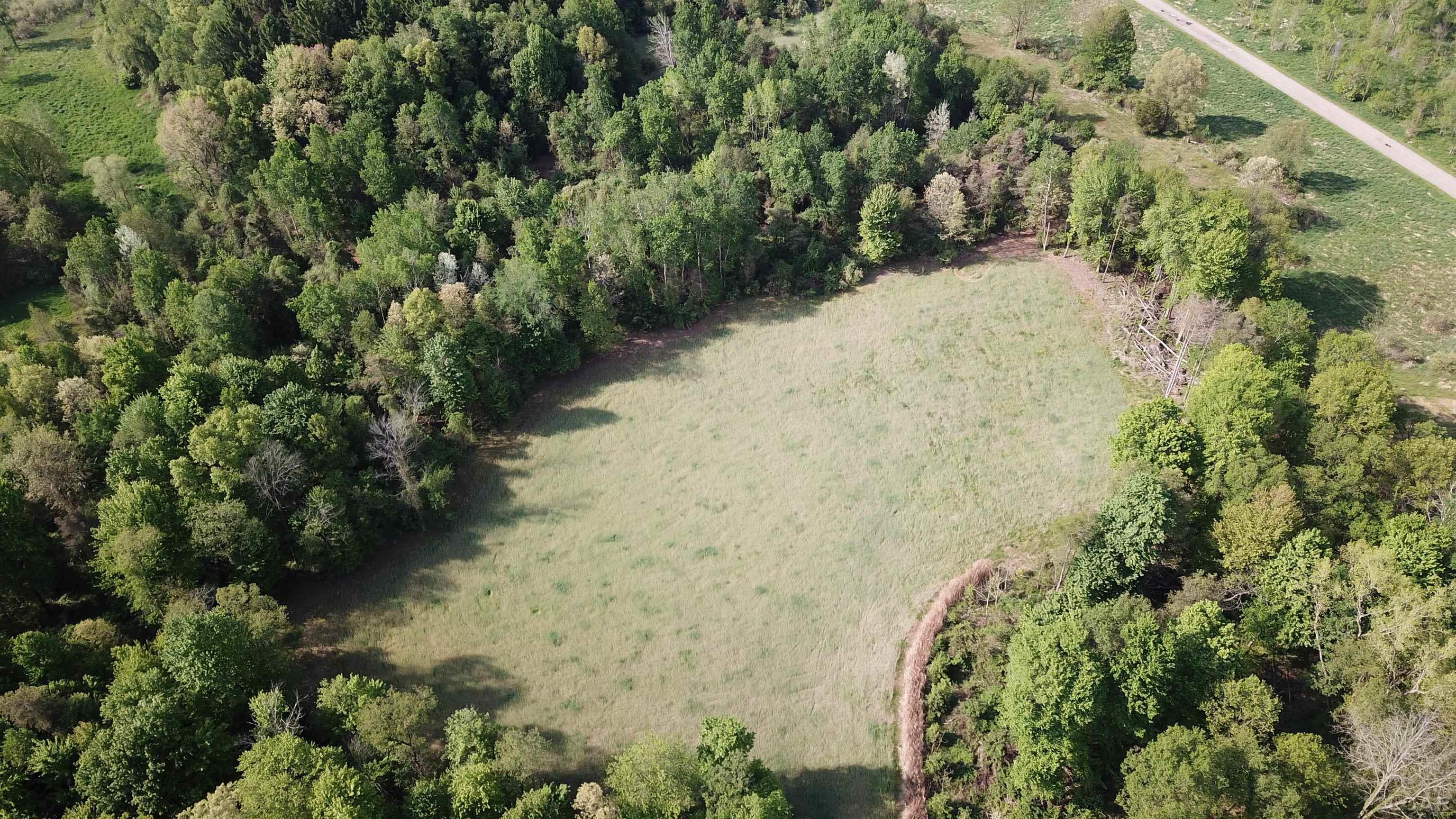 15252 27 Mile Road Albion, MI 49224 - Photo 46 of 57