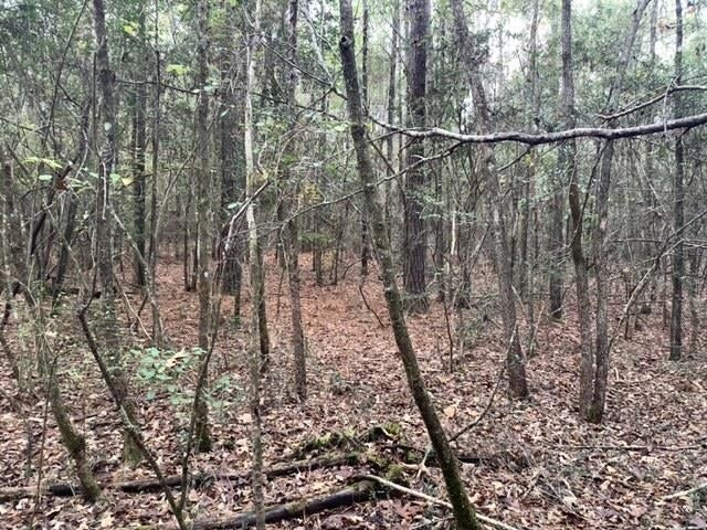 20736 Ray Armstrong Road Andalusia, AL 36421 - Photo 14 of 41 Gallery Image 14