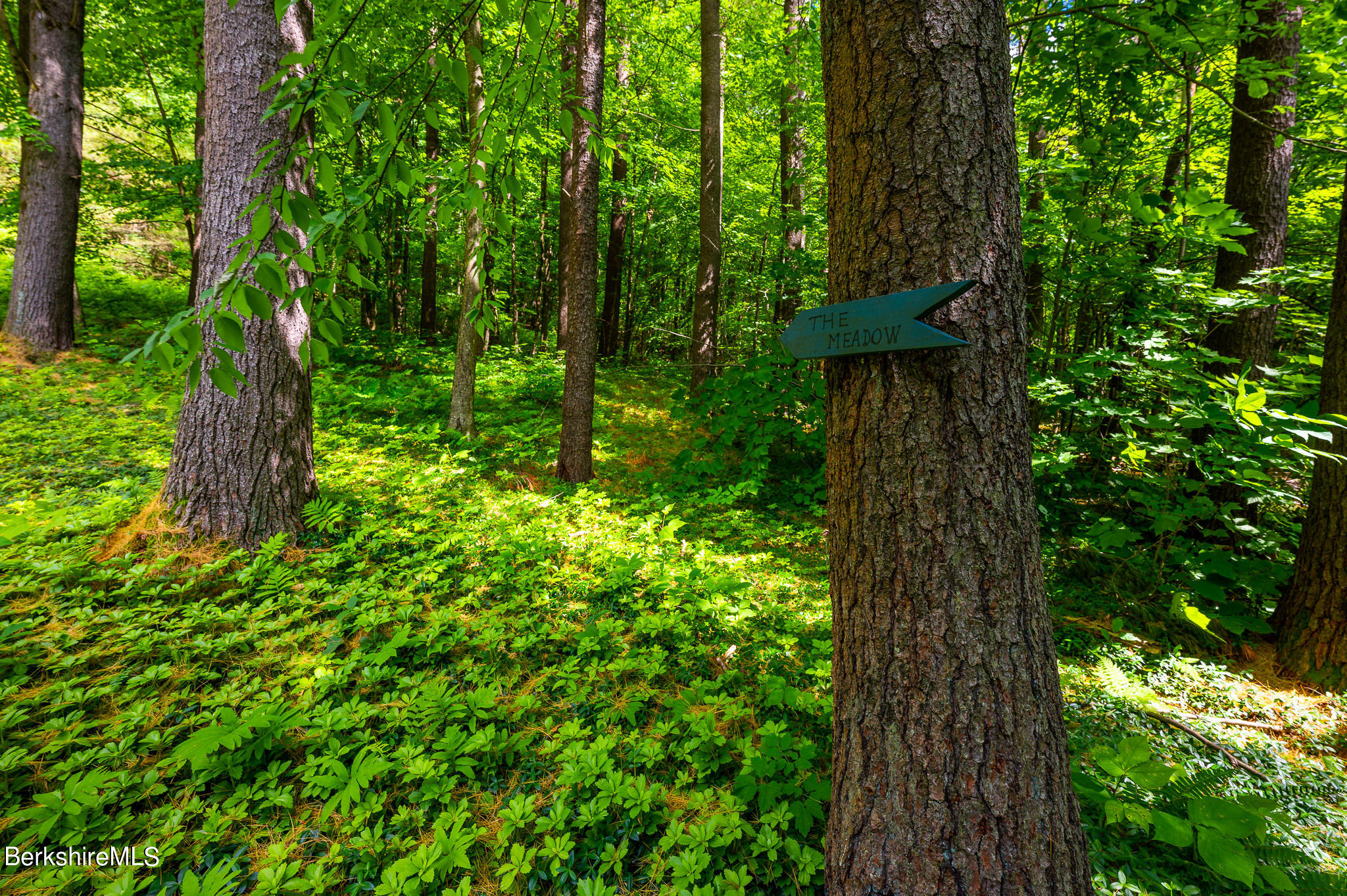 9 Pixley Hill Road West Stockbridge, MA 01236 - Photo 31 of 37 a backyard of a house with lots of green space