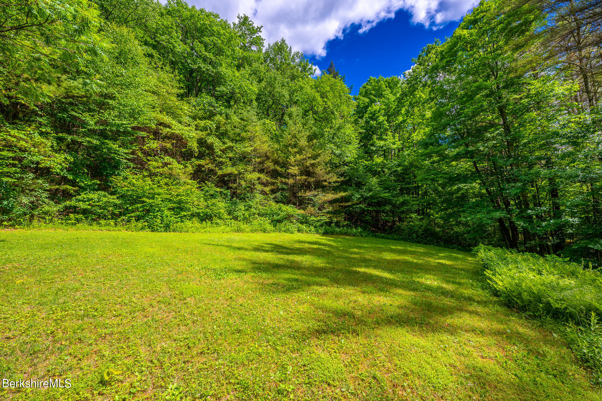 9 Pixley Hill Road West Stockbridge, MA 01236 - Photo 33 of 37 a view of a yard with an outdoor space