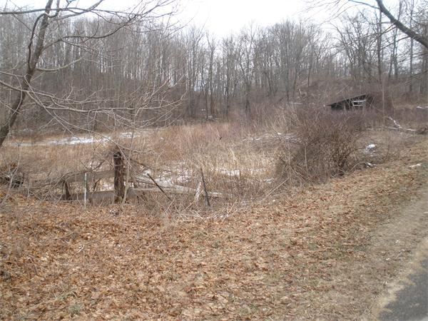 Lot Coldbrook Coldbrook Road Oakham, MA 01068 - Photo 4 of 5 Gallery Image 4
