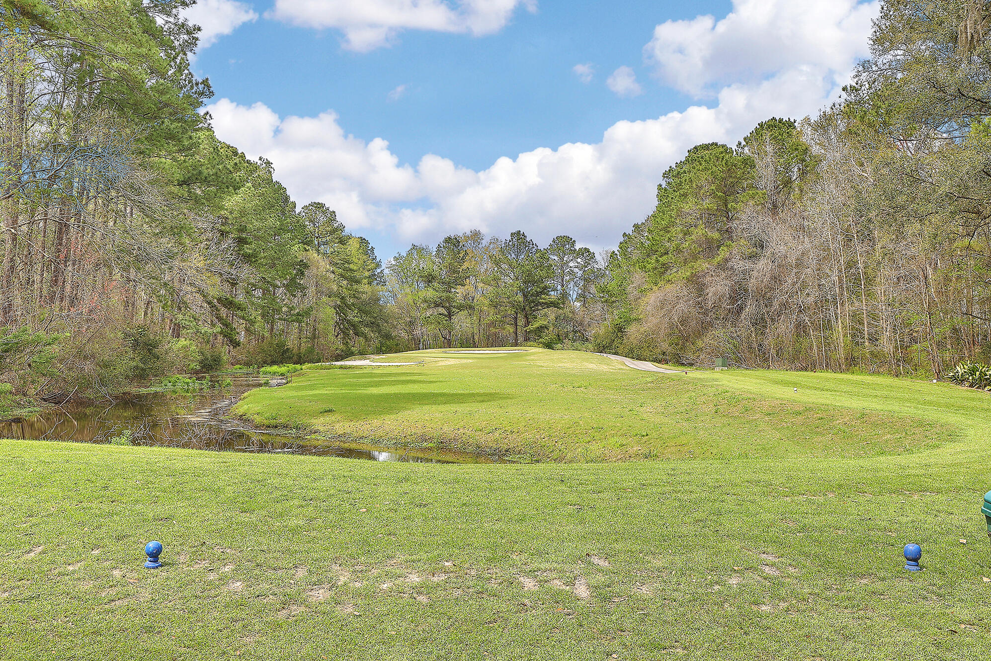 607 Pointe Of Oaks Road Summerville, SC 29485 - Photo 36 of 38 IMG_5081_2_3_4_5_6_7
