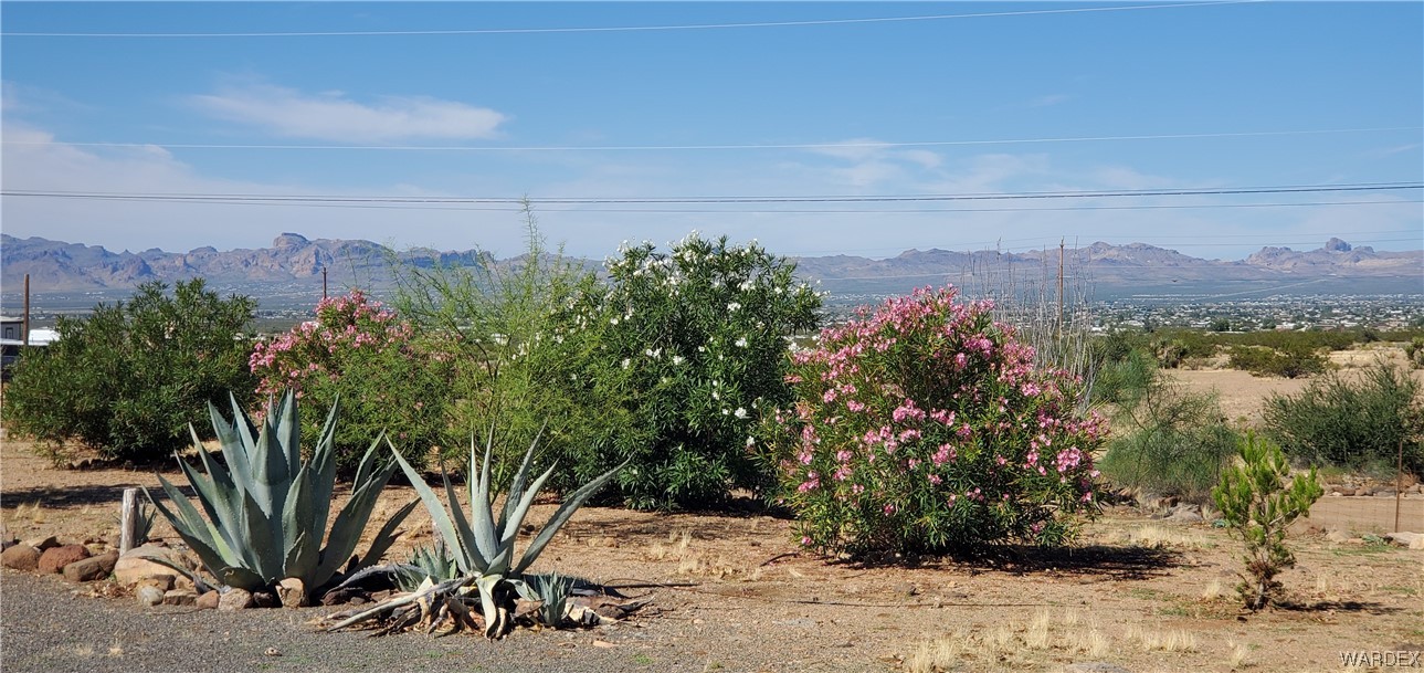3842 Bagdad Road Golden Valley, AZ 86413 - Photo 41 of 50 a view of a lake with a mountain in the background