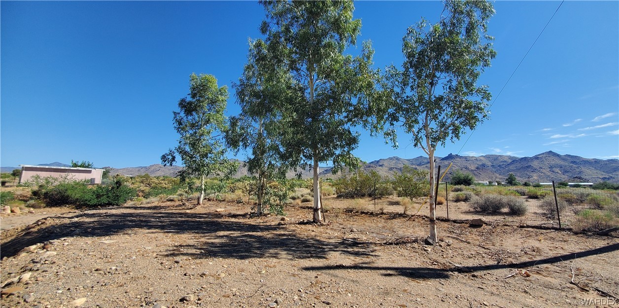3842 Bagdad Road Golden Valley, AZ 86413 - Photo 46 of 50 a view of a yard with a tree