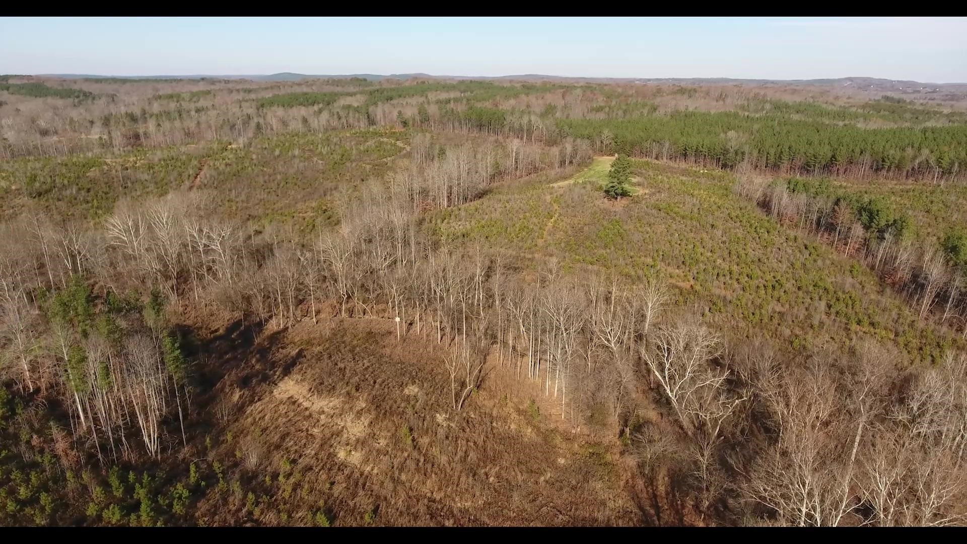 Tbd South Gravel Hill Road Ruffin, NC 27326 - Photo 7 of 7 Photo 7
