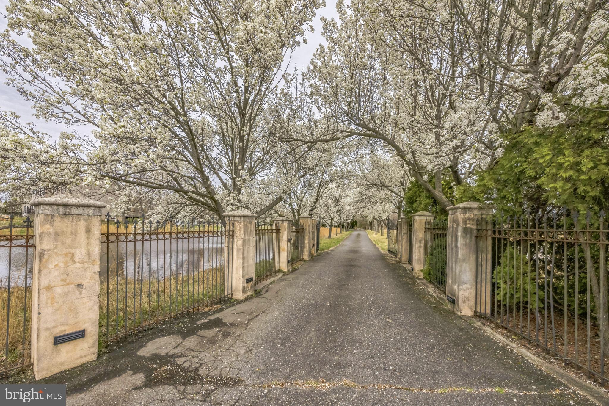 76 West Tomlin Station Road Mickleton, NJ 08056 - Photo 3 of 36