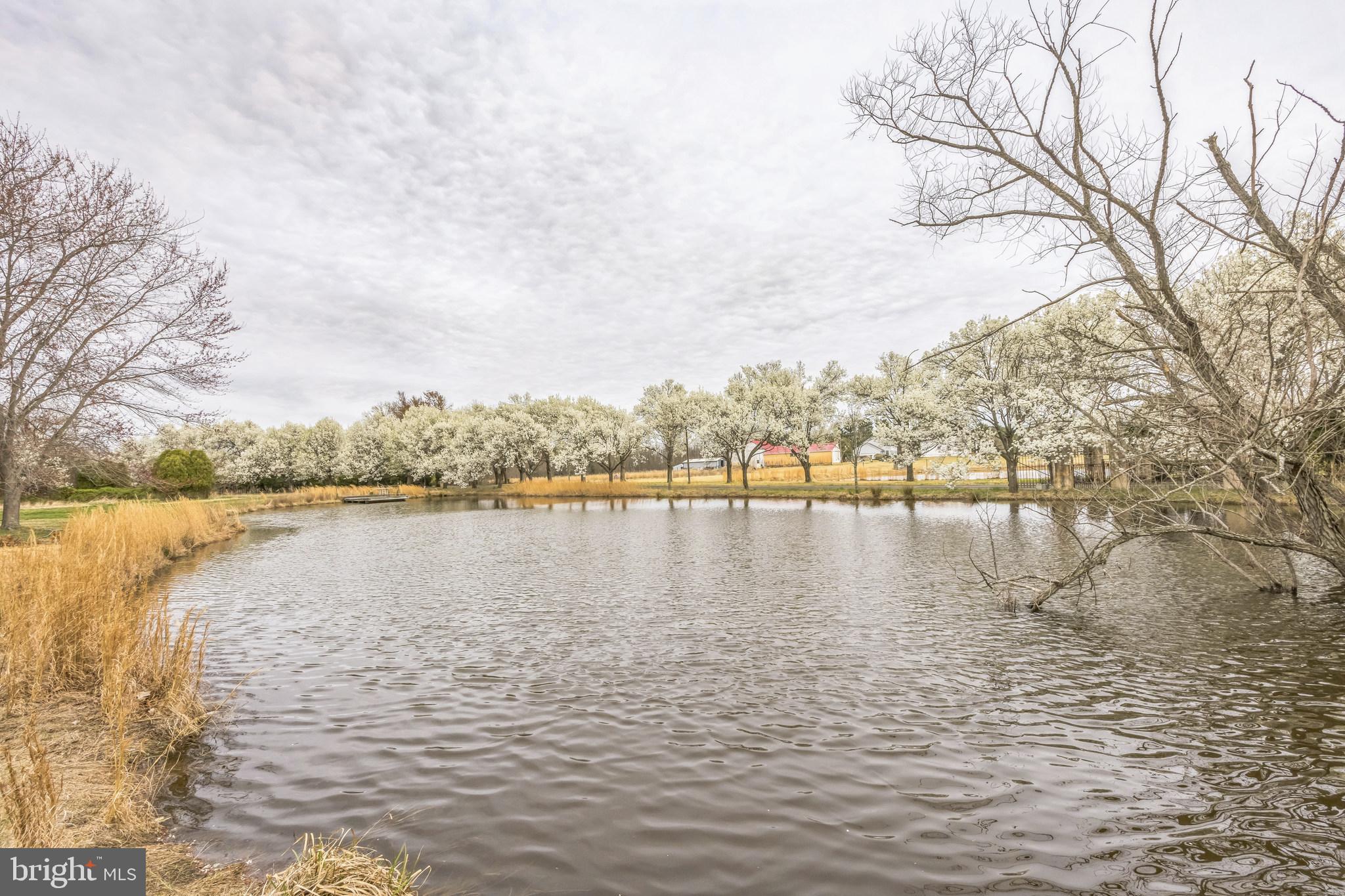 76 West Tomlin Station Road Mickleton, NJ 08056 - Photo 4 of 36