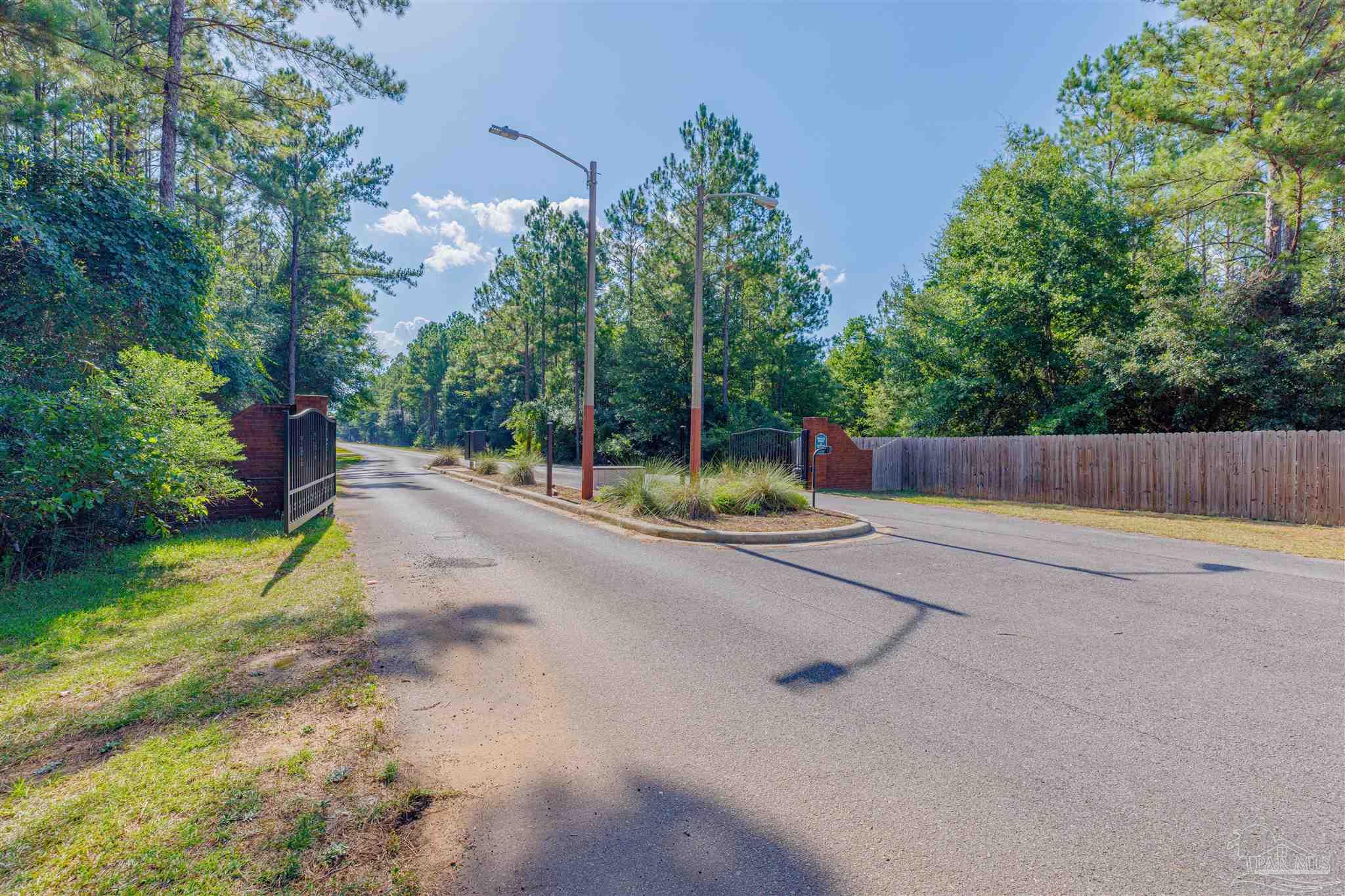 a view of backyard and tree