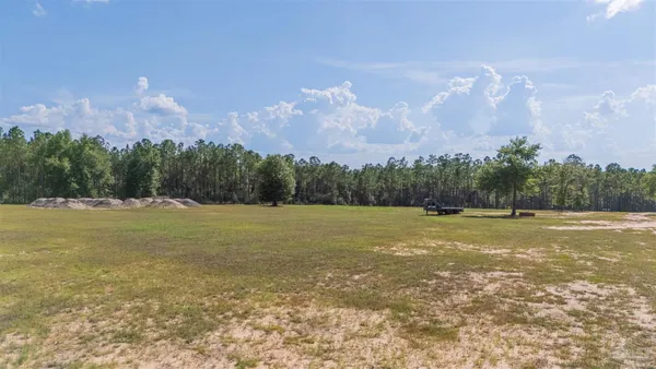 a view of a yard