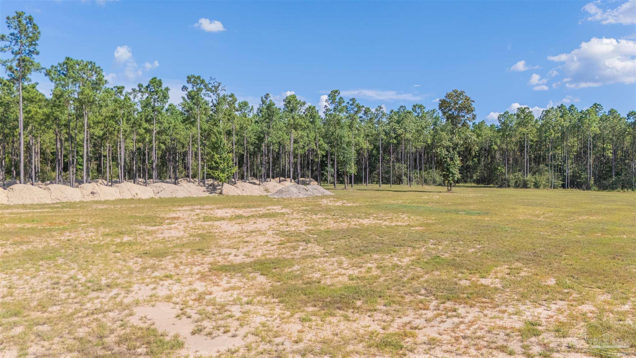 7047 Hidden Forest Trail Pace, FL 32571 - Photo 3 of 8 a view of outdoor space with trees
