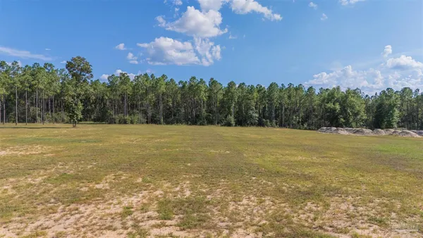 a view of a field with trees in the background