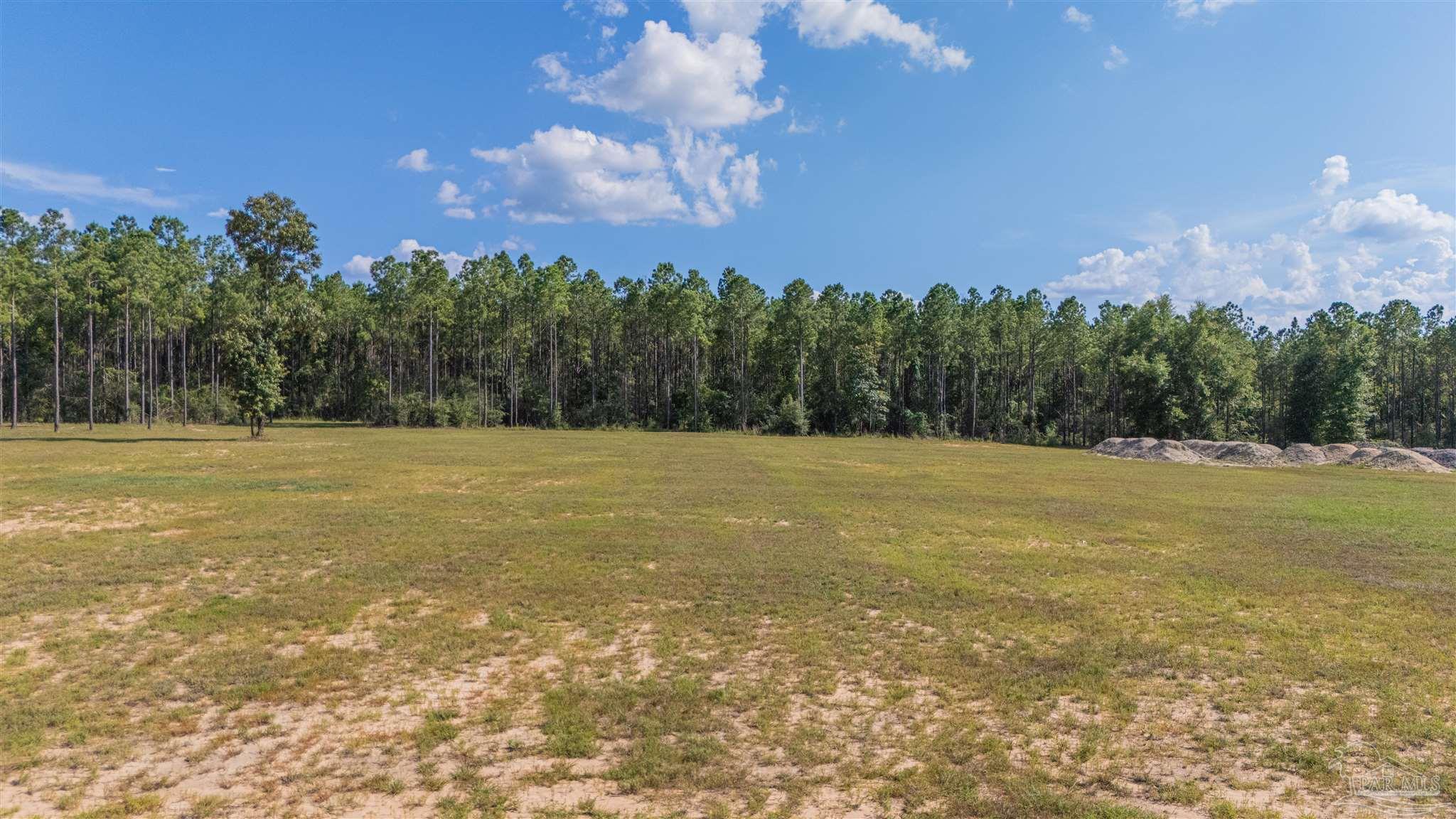 7047 Hidden Forest Trail Pace, FL 32571 - Photo 4 of 8 a view of a field with trees in the background
