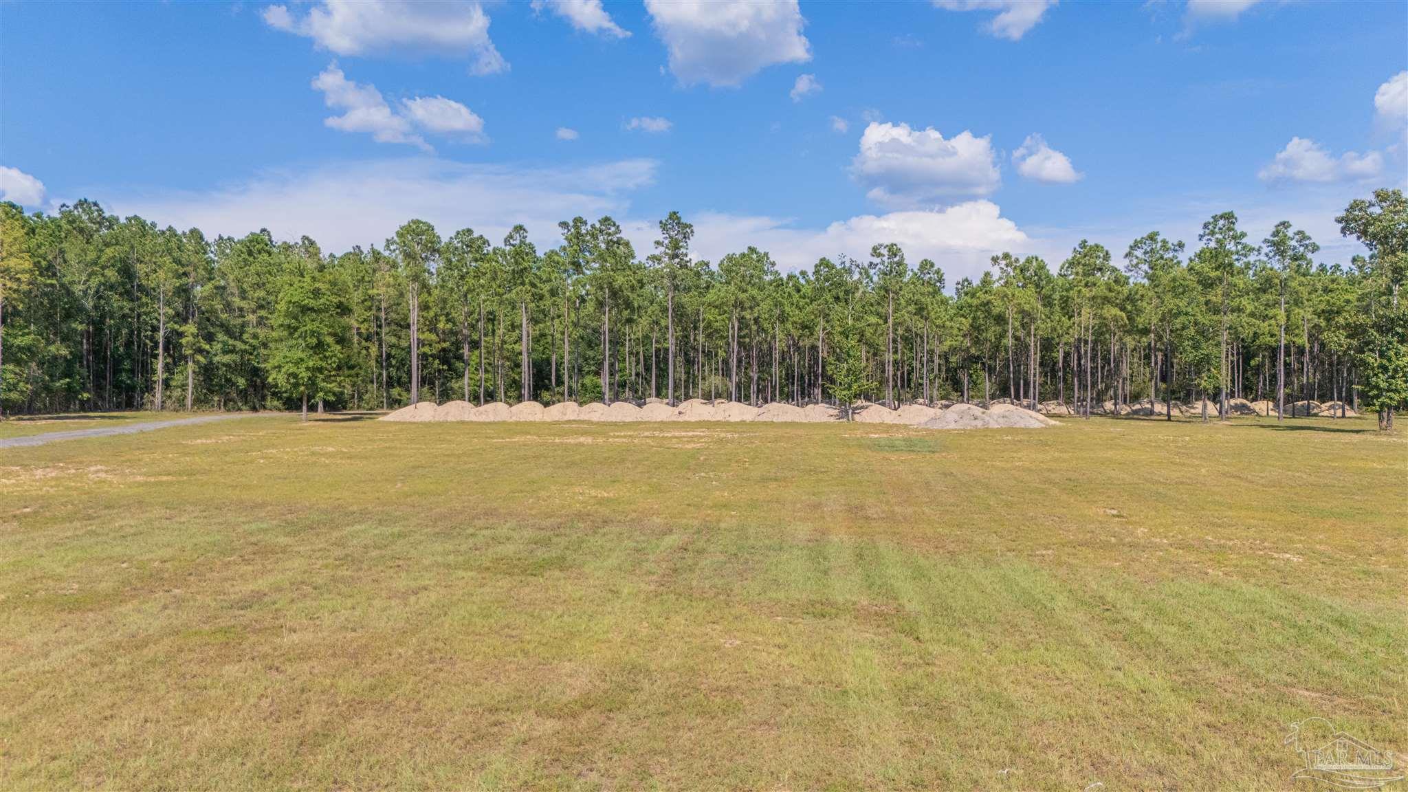 7047 Hidden Forest Trail Pace, FL 32571 - Photo 6 of 8 a view of outdoor space with green field