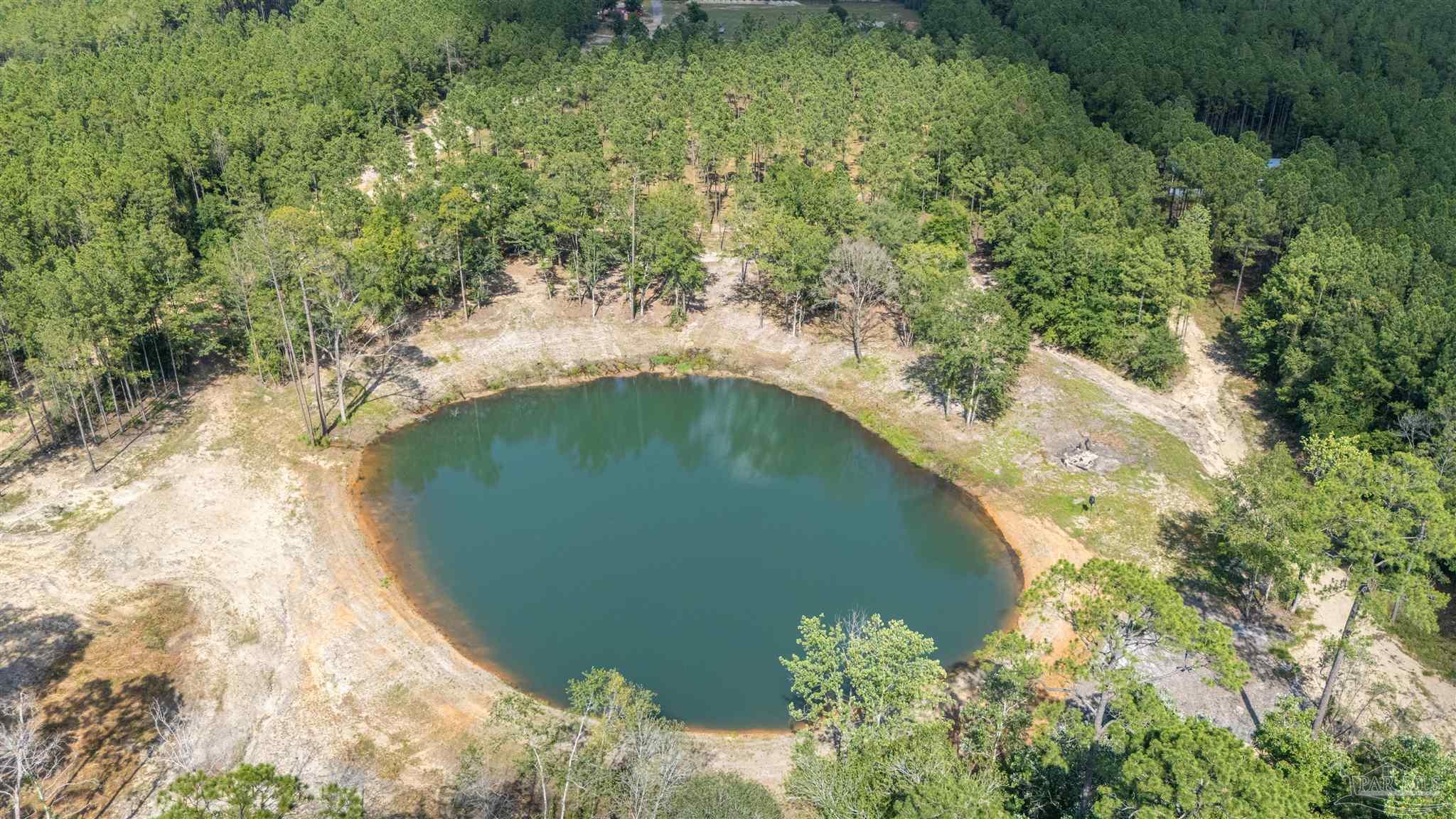 7047 Hidden Forest Trail Pace, FL 32571 - Photo 7 of 8 an aerial view of a house with a yard