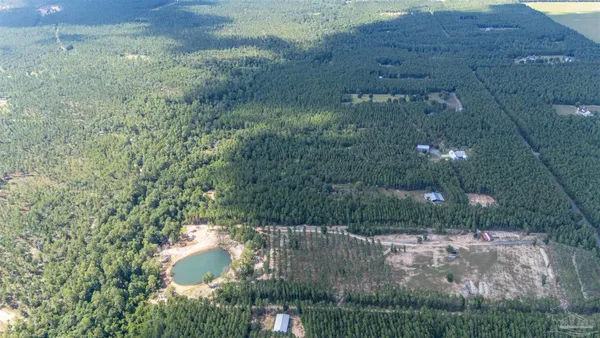 a view of a big yard