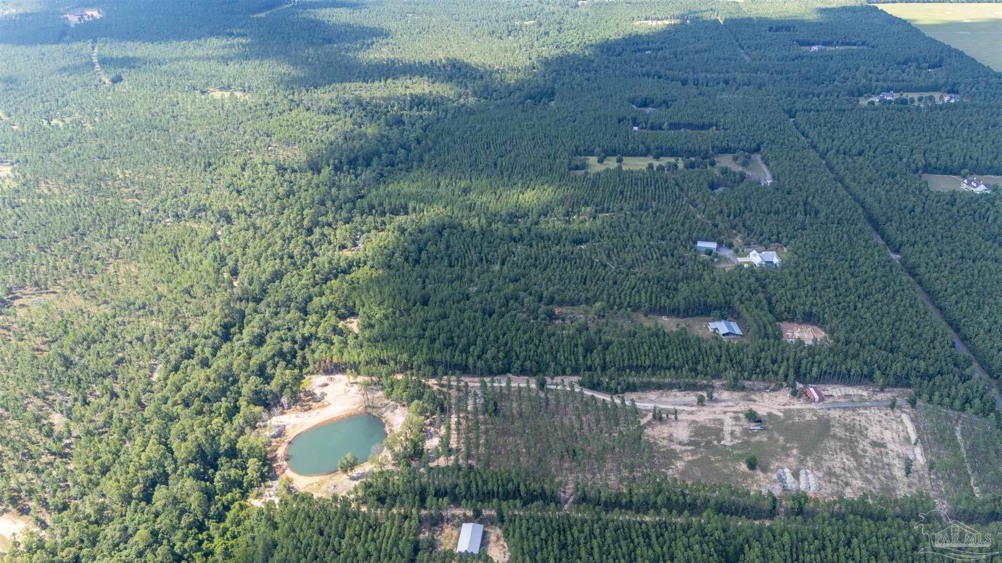 7047 Hidden Forest Trail Pace, FL 32571 - Photo 8 of 8 a view of a big yard