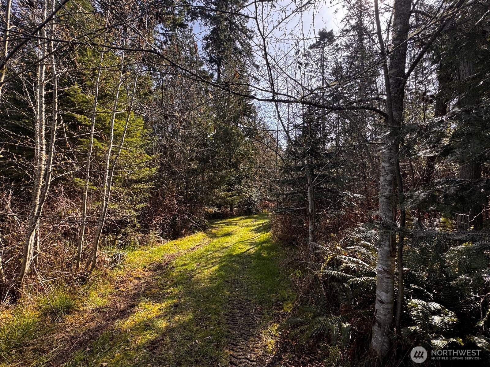 0 O Brien Road Port Angeles, WA 98362 - Photo 11 of 26