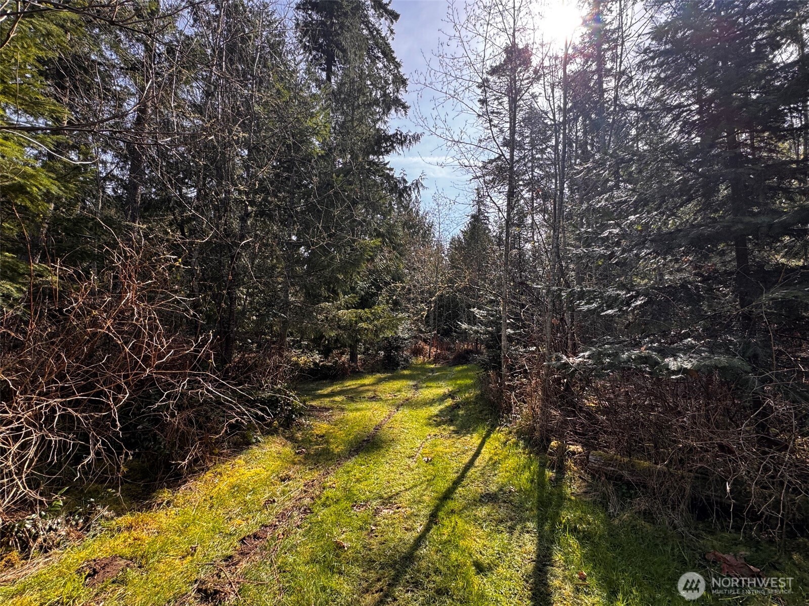 0 O Brien Road Port Angeles, WA 98362 - Photo 12 of 26