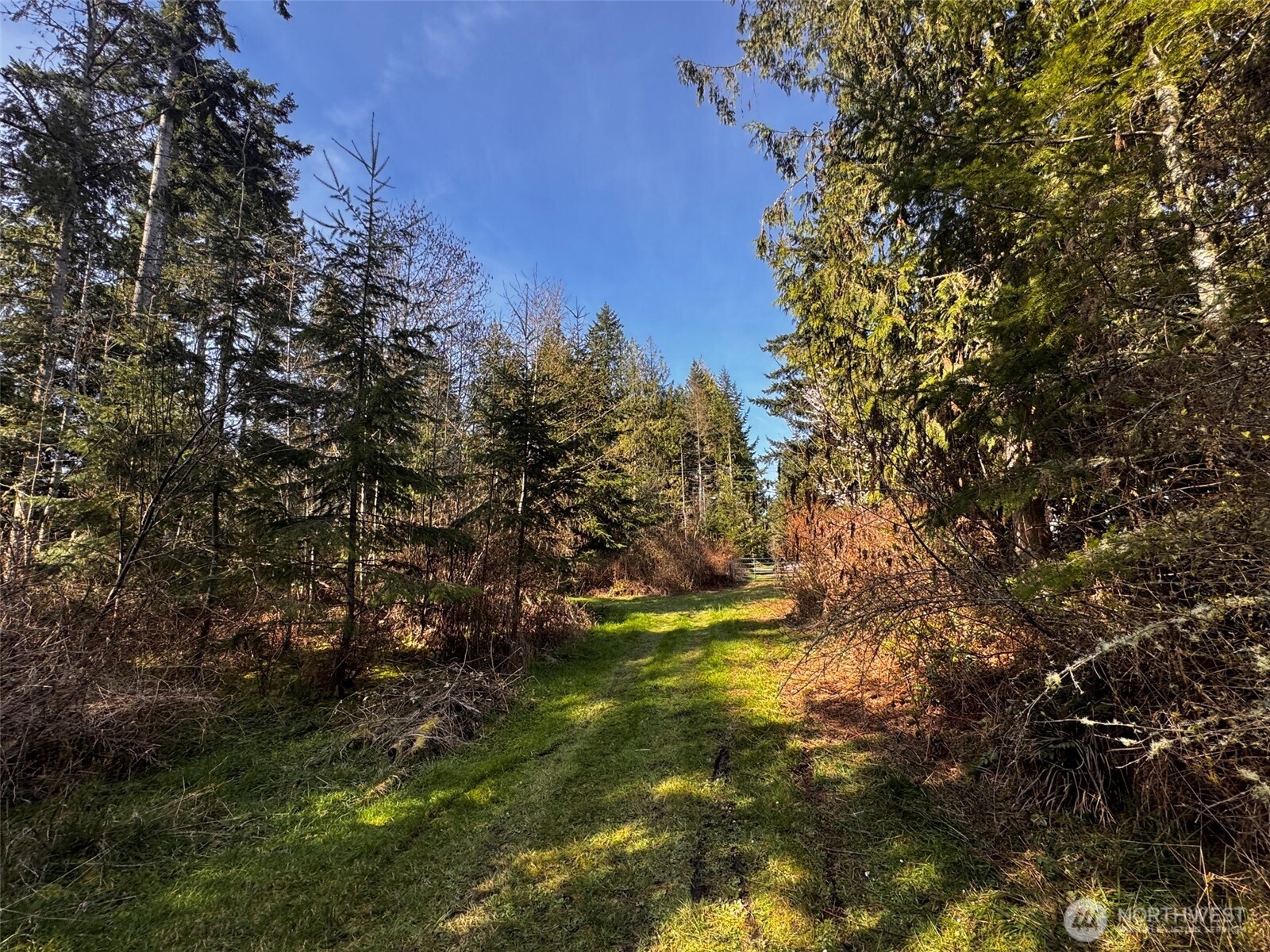 0 O Brien Road Port Angeles, WA 98362 - Photo 13 of 26