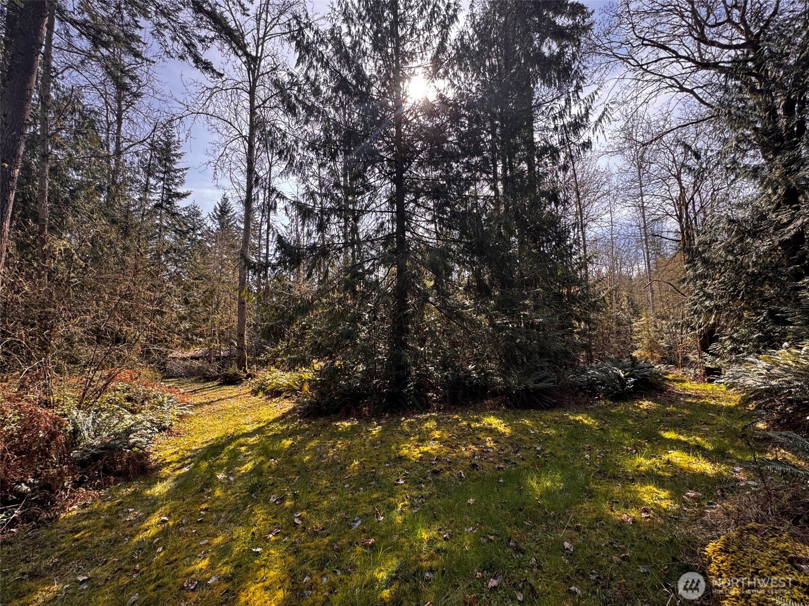 0 O Brien Road Port Angeles, WA 98362 - Photo 15 of 26