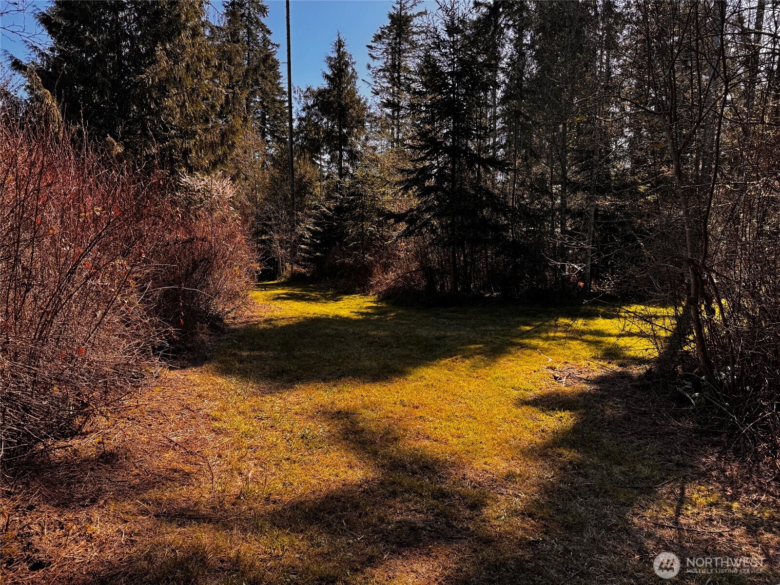 0 O Brien Road Port Angeles, WA 98362 - Photo 21 of 26