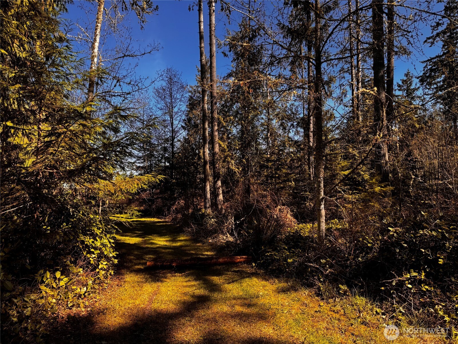 0 O Brien Road Port Angeles, WA 98362 - Photo 24 of 26