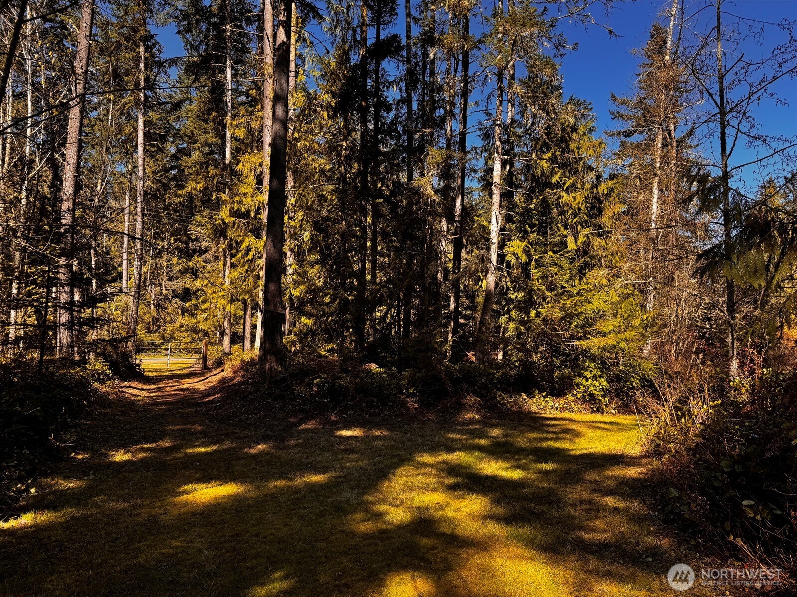 0 O Brien Road Port Angeles, WA 98362 - Photo 25 of 26