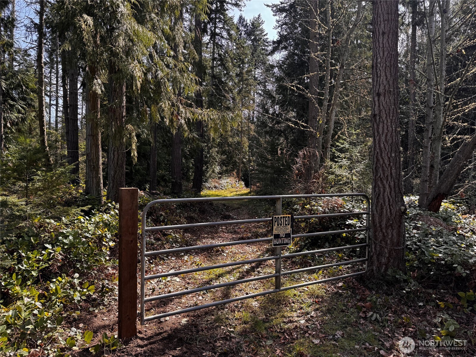 0 O Brien Road Port Angeles, WA 98362 - Photo 5 of 26