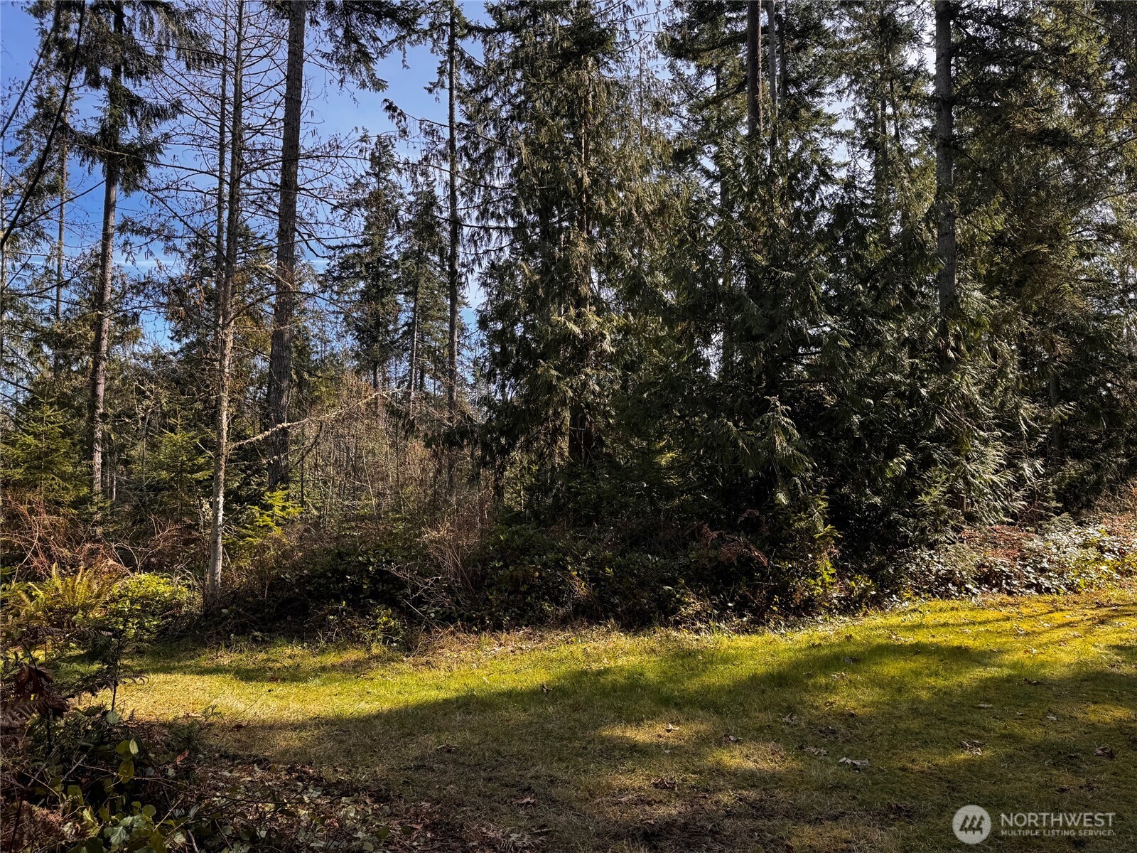 0 O Brien Road Port Angeles, WA 98362 - Photo 6 of 26