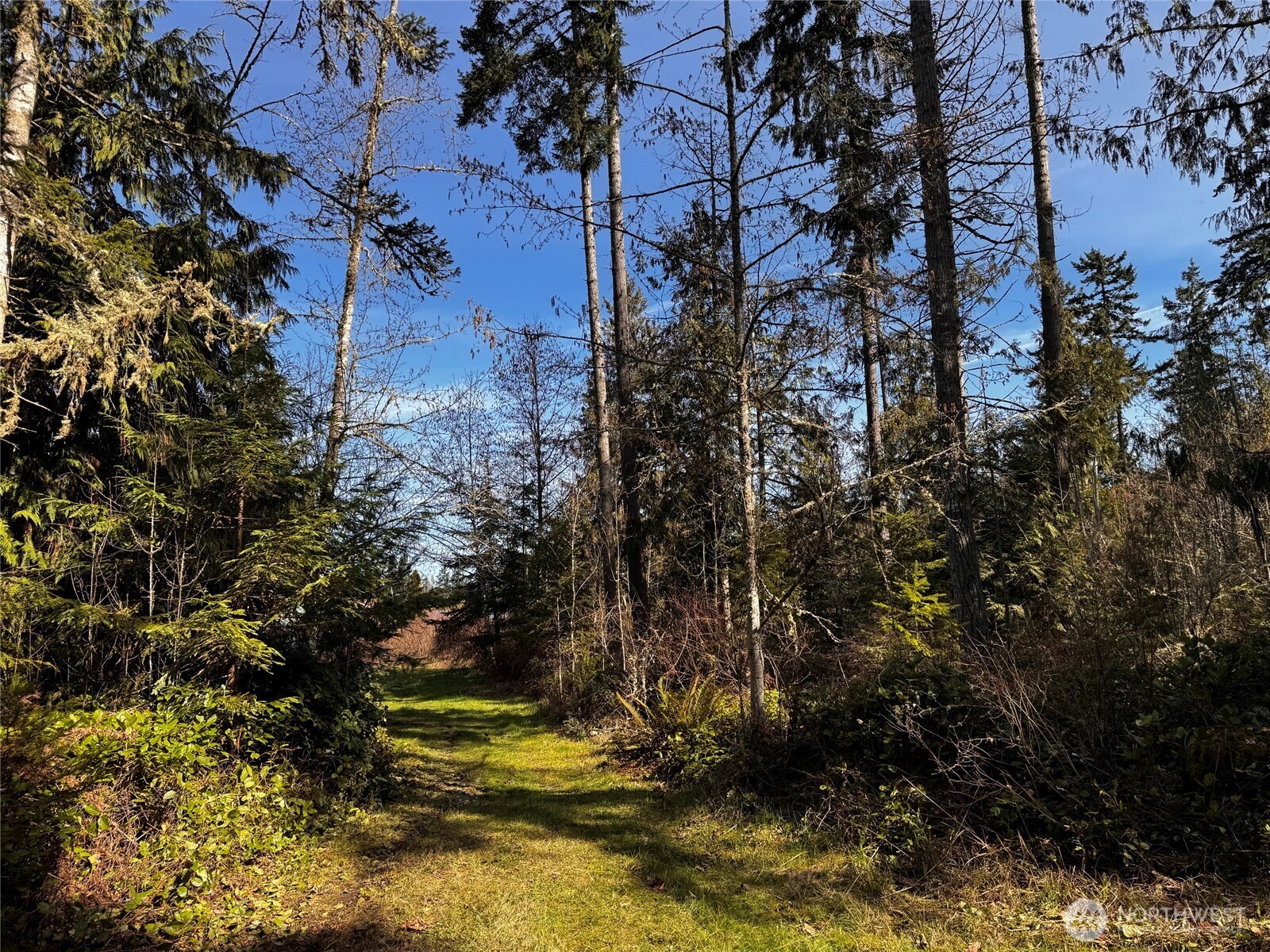 0 O Brien Road Port Angeles, WA 98362 - Photo 7 of 26