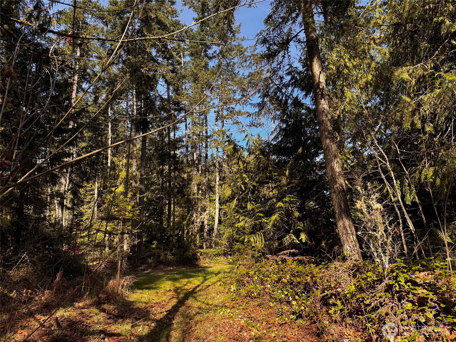 0 O Brien Road Port Angeles, WA 98362 - Photo 8 of 26