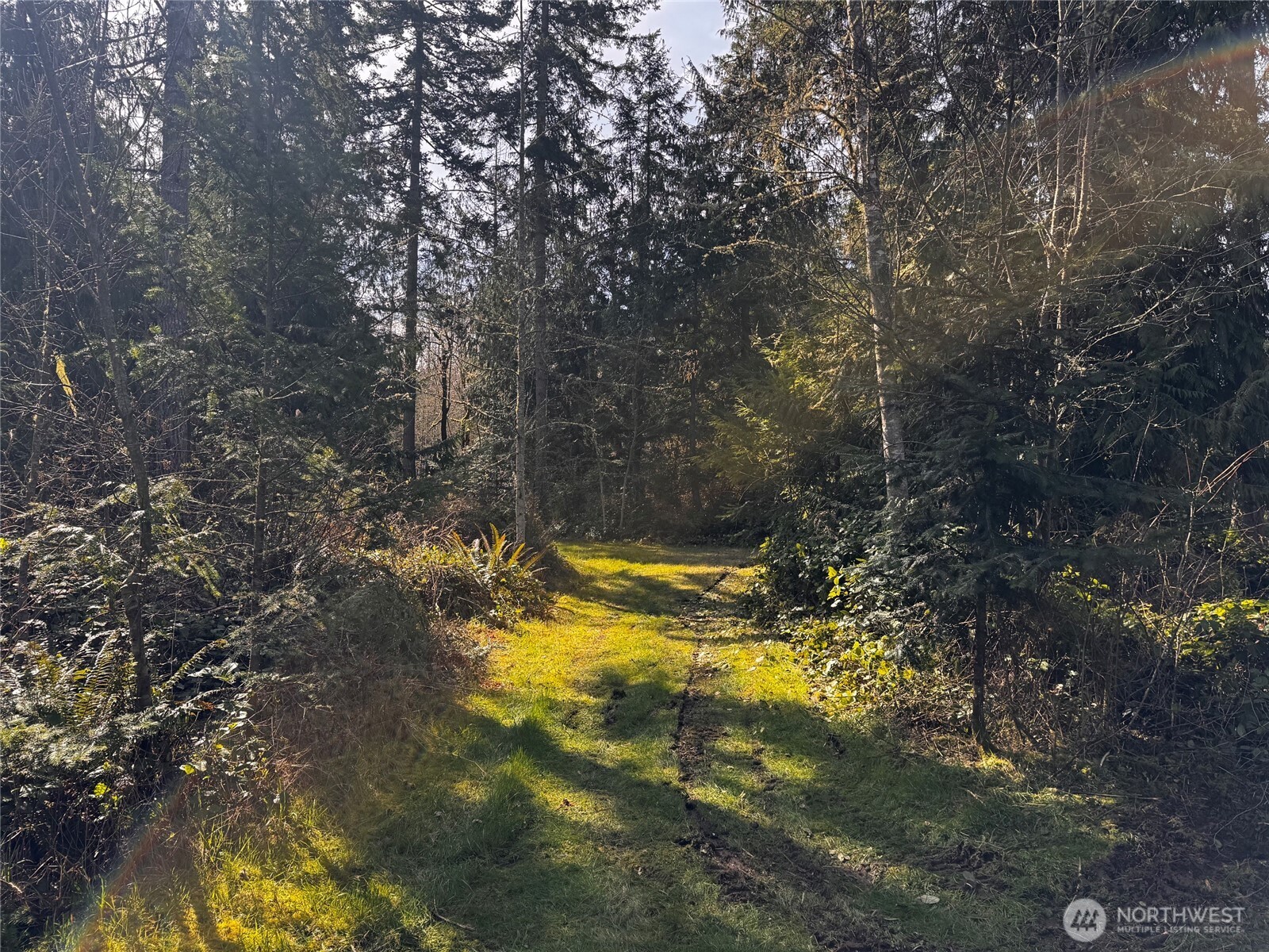 0 O Brien Road Port Angeles, WA 98362 - Photo 9 of 26