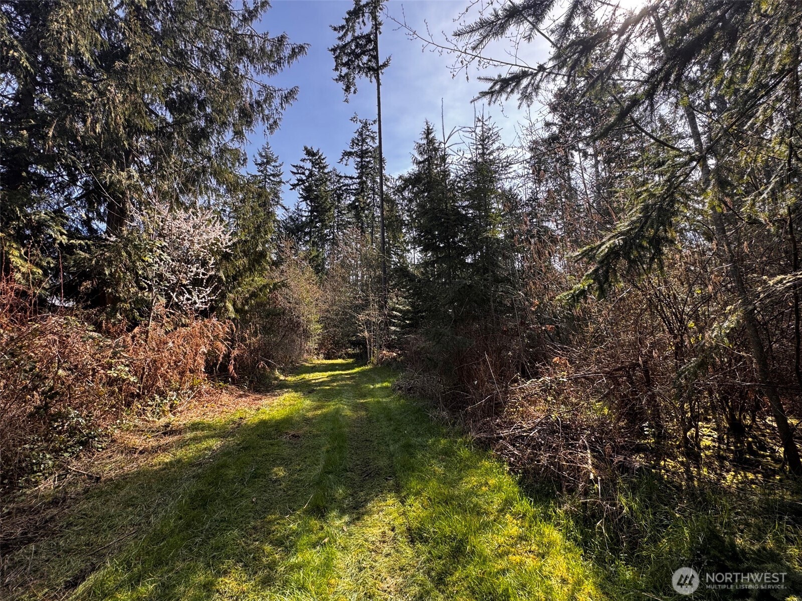 0 O Brien Road Port Angeles, WA 98362 - Photo 10 of 26