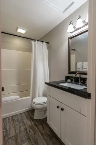 a bathroom with a sink a toilet a mirror and shower