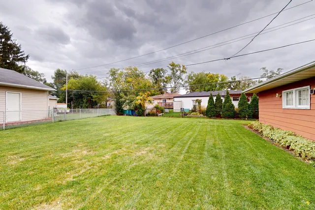a view of a backyard with plants and large trees