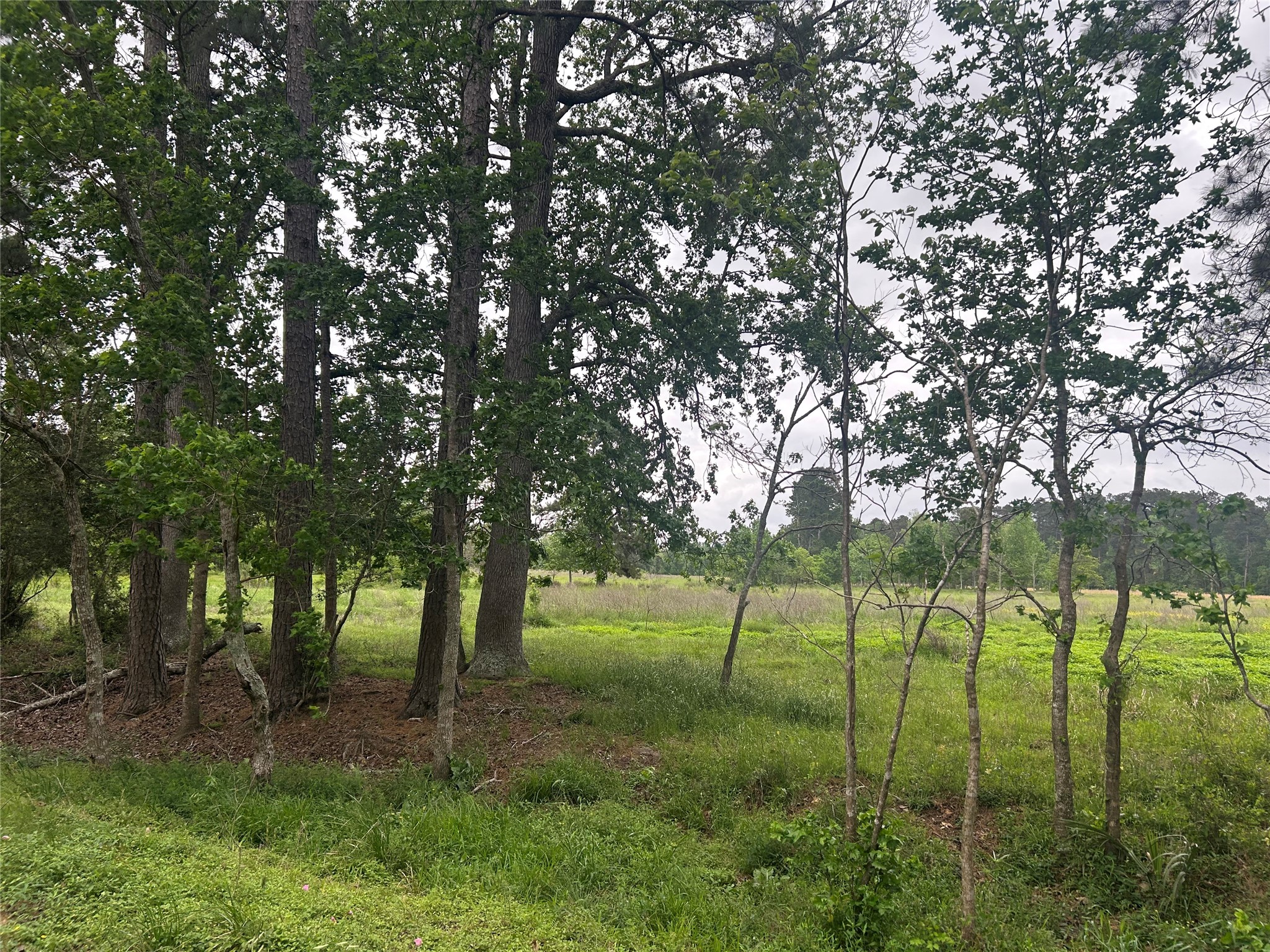 Lot 2 Minnie West Road Hull, TX 77564 - Photo 9 of 13