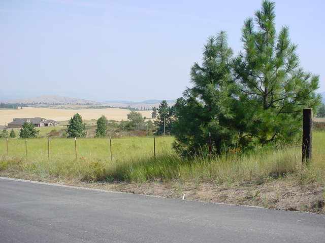 6304 South Saddle Ridge Road Greenacres, WA 99016 - Photo 1 of 1