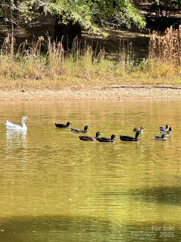 $245,000 | 3490 Us Highway, Stoneville, NC 27048