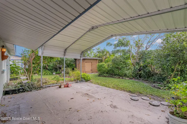 a view of a backyard with plants and garden